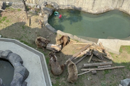 서울대공원, 순간포착 동물 영상 유튜브로 공개