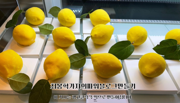 [최봉혁기자의 파워블로그만들기]☆최봉혁기자의 사진여행☆